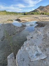COLLEEN O'BRIEN BIG BEND 