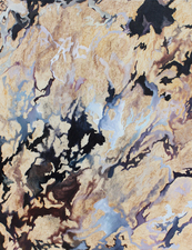 COLLEEN O'BRIEN LAND ARTS 2012 Oil and Conte on Canvas