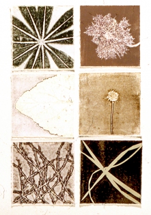 Constance Kiermaier Prints monotype collage