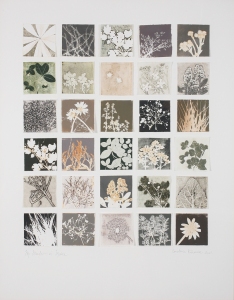 Constance Kiermaier Prints Monotype Collage