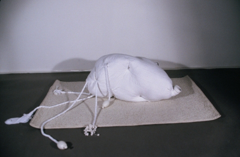 Marcia Cooper TRANSBILAYER BUNDLES Mixed media sculpture installation