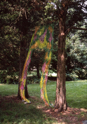 Marcia Cooper BETWEEN the Trees Mixed media with netting, string and translucent plastic shoes