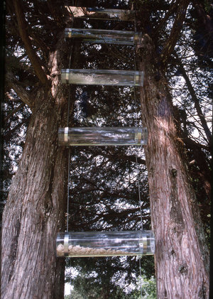 Marcia Cooper BETWEEN the Trees Mixed media with plastic tubes, seeds, glass, mirror