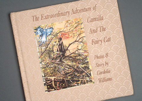 Cordelia Williams The Extraordinary Adventure of Camilla and the Fairy Cat Codex book, hard covered