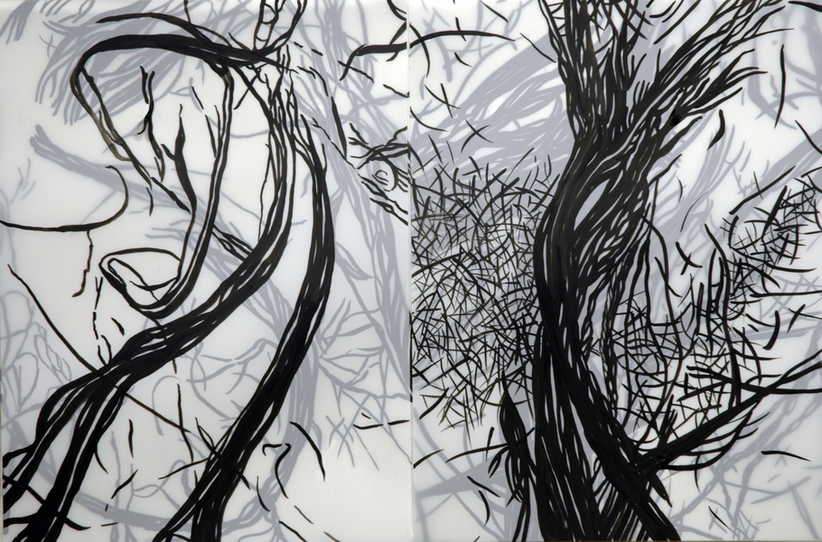 Cristina de Gennaro Sage Drawings Acrylic ink on mylar.