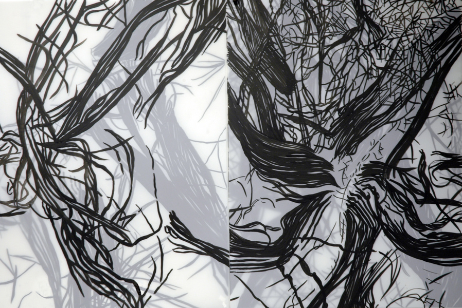 Cristina de Gennaro Sage Drawings Acrylic ink on mylar.