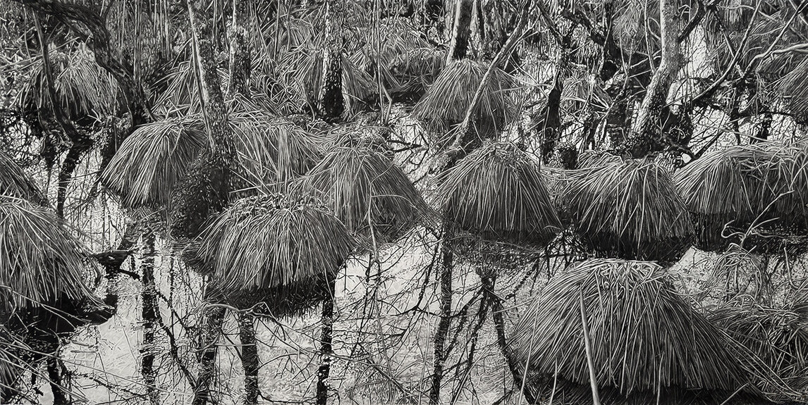 Cristina de Gennaro Turf Drawings Charcoal on mylar.