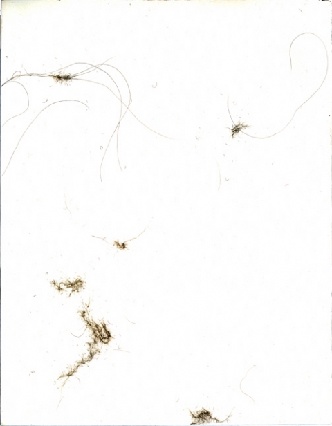 Cynthia Lin Drawings of Dust (2000-2004) silver on gesso on paper