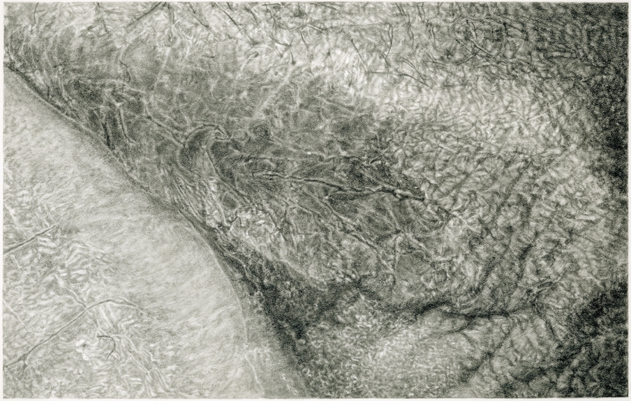 Cynthia Lin Small Drawings of Skin (2004-2006) graphite on paper