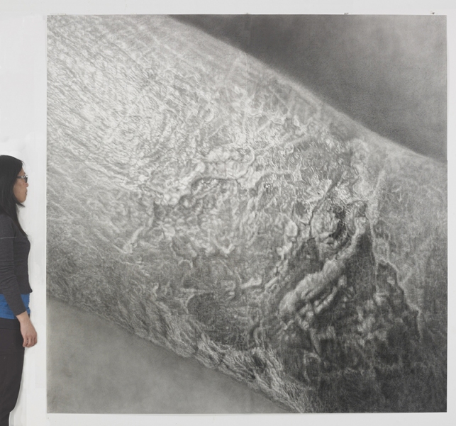 Cynthia Lin Drawings of Scars (2009-2014) graphite and charcoal on paper