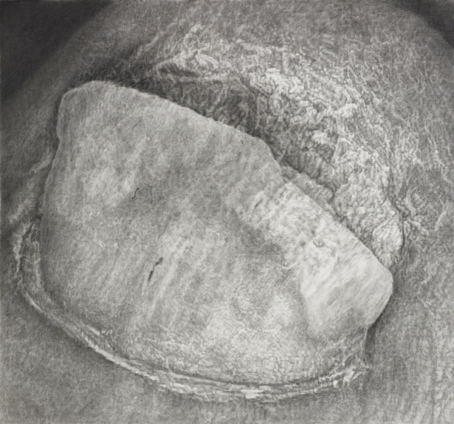 Cynthia Lin Drawings of Scars (2009-2014) graphite and charcoal on paper