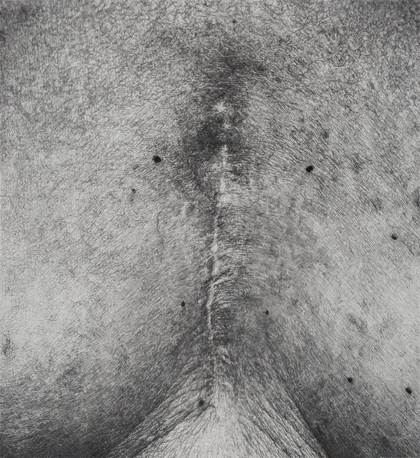 Cynthia Lin Drawings of Scars (2009-2014)  Graphite and charcoal on paper