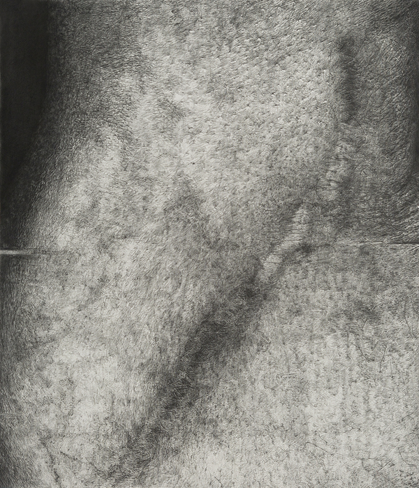 Cynthia Lin Drawings of Scars (2009-2014) Graphite and charcoal on paper