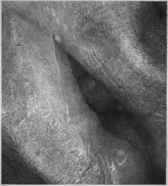 Cynthia Lin Monumental Drawings of Skin (2006-2018) graphite on paper