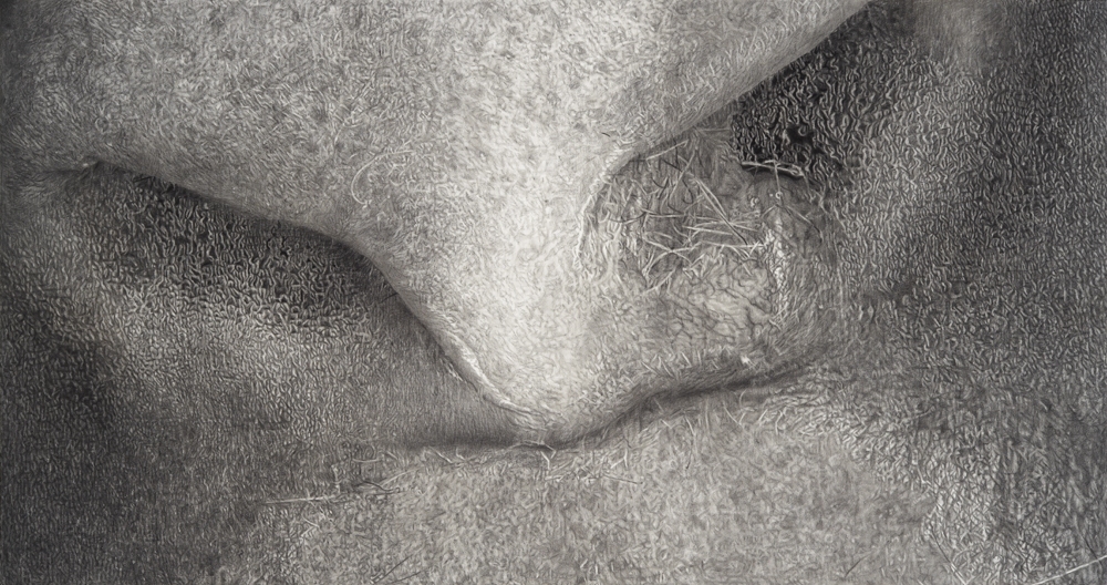 Cynthia Lin Monumental Drawings of Skin (2006-2018) Charcoal on paper
