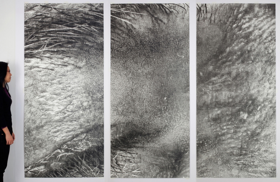 Cynthia Lin Monumental Drawings of Skin (2006-2018) graphite and charcoal on paper