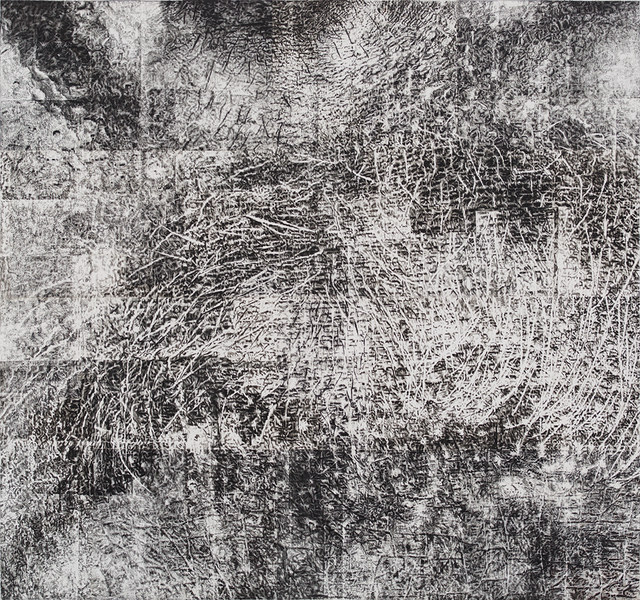 Cynthia Lin Scan/ Draw/ Scan/ Print/ Trace/ Paint (2014-2019) Graphite, charcoal, ink, acrylic, solvent transfer print, on paper