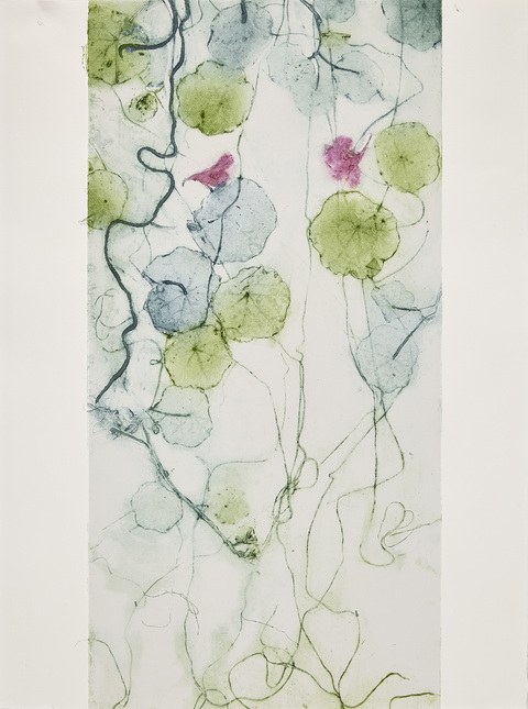 Cynthia MacCollum Flowerpower Collagraph Monoprint