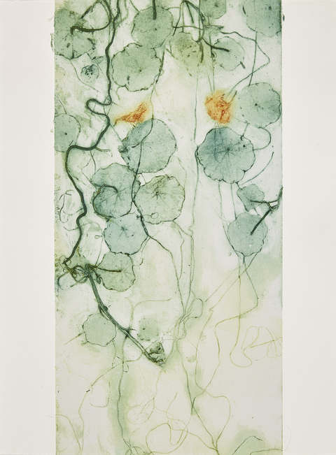 Cynthia MacCollum Flowerpower Collagraph Monoprint