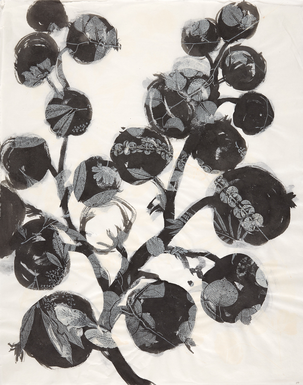 Cynthia MacCollum Botanica monotype with painting 