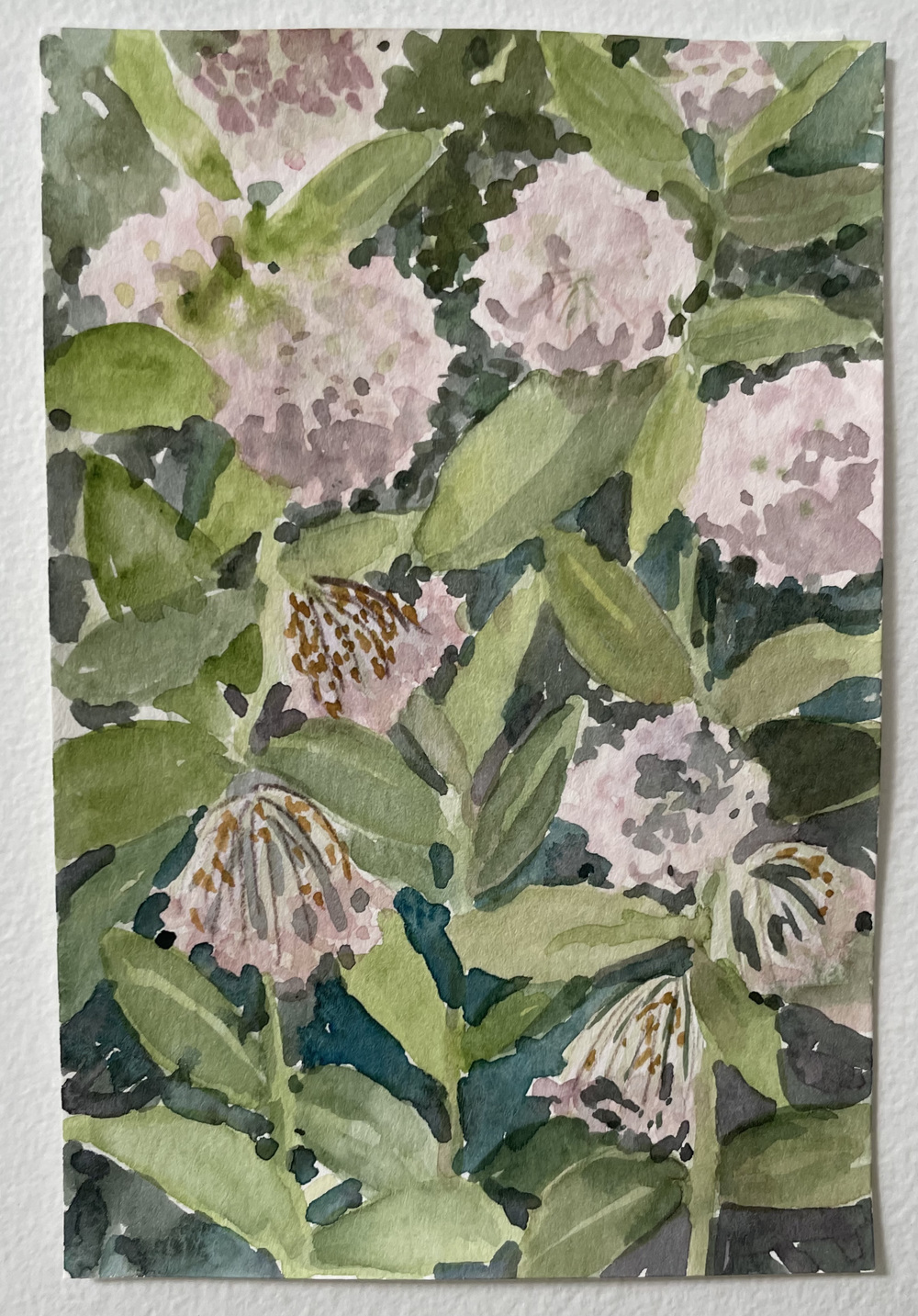 Cynthia MacCollum Strawberry Moon watercolor