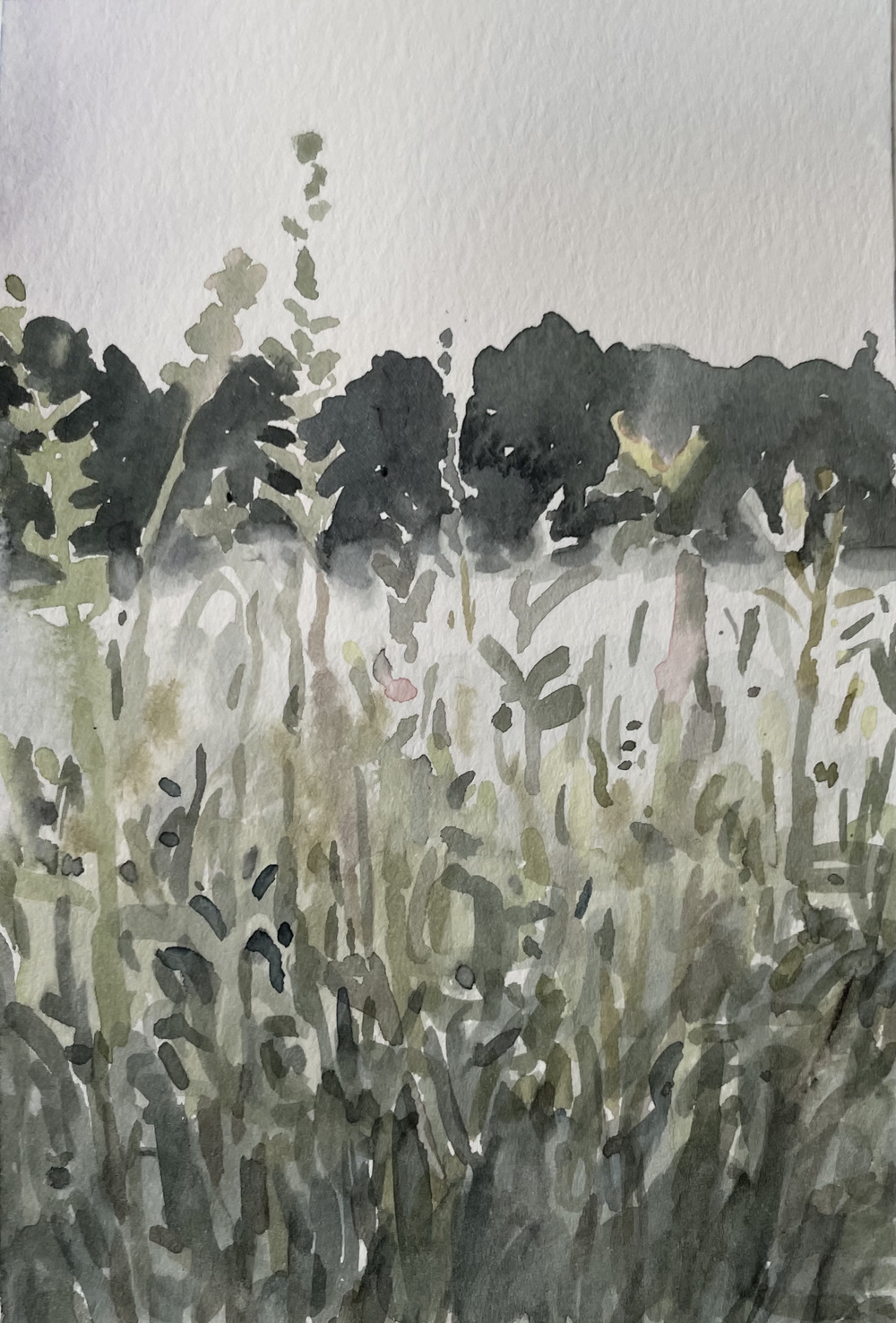 Cynthia MacCollum Strawberry Moon watercolor