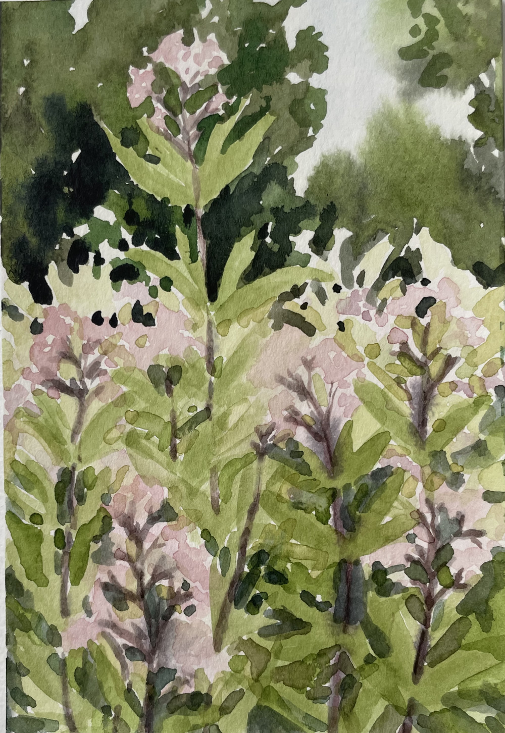 Cynthia MacCollum Strawberry Moon watercolor