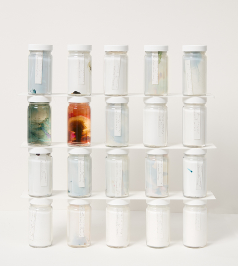 Cynthia MacCollum Habitat Acrylic Ink on Yupo paper suspended in liquid-filled Specimen Jar