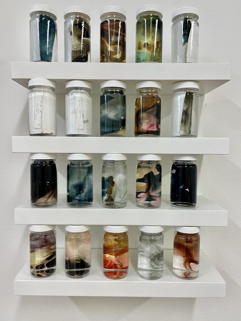 Cynthia MacCollum Endangered Species of Connecticut: Other Invertebrates Acrylic Ink on Yupo paper suspended in liquid-filled Specimen Jars