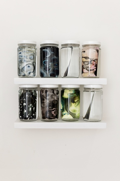 Cynthia MacCollum Endangered Species of Connecticut: Amphibians Acrylic Ink on Yupo paper suspended in liquid-filled Specimen Jar