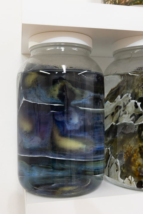 Cynthia MacCollum Endangered Species of CT: Reptiles Acrylic ink on Translucent yupo paper, each 8.25” x 5.75”  stored in fluid-filled 1 gallon specimen jars