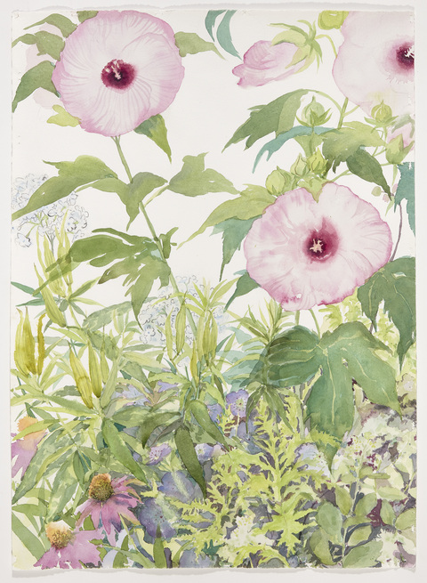 Cynthia MacCollum Habitat Watercolor with graphite