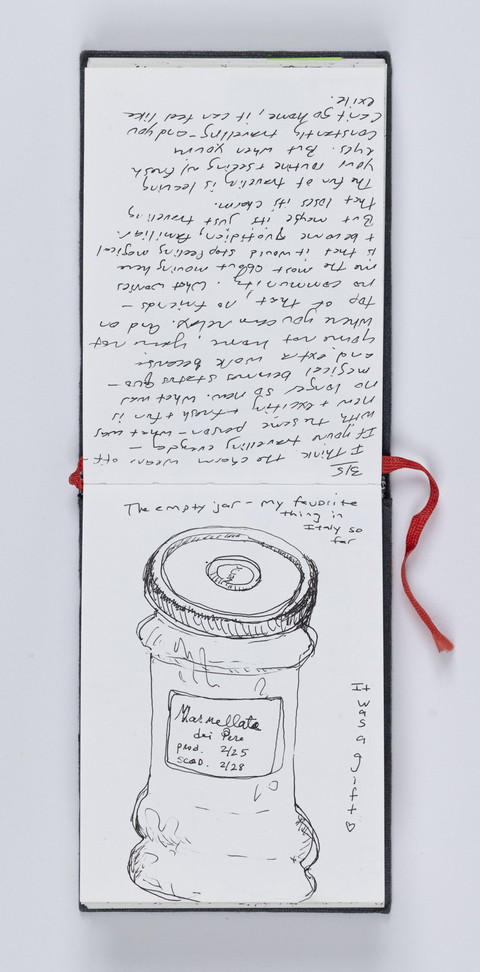 Cynthia MacCollum Sketchbooks and Checklists 