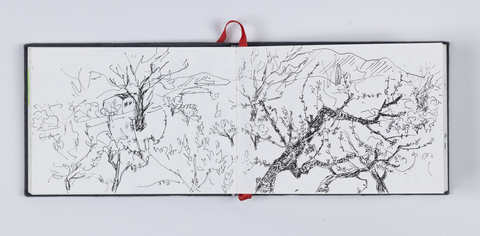 Cynthia MacCollum Sketchbooks and Checklists 