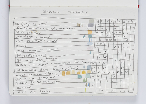Cynthia MacCollum Sketchbooks and Checklists 