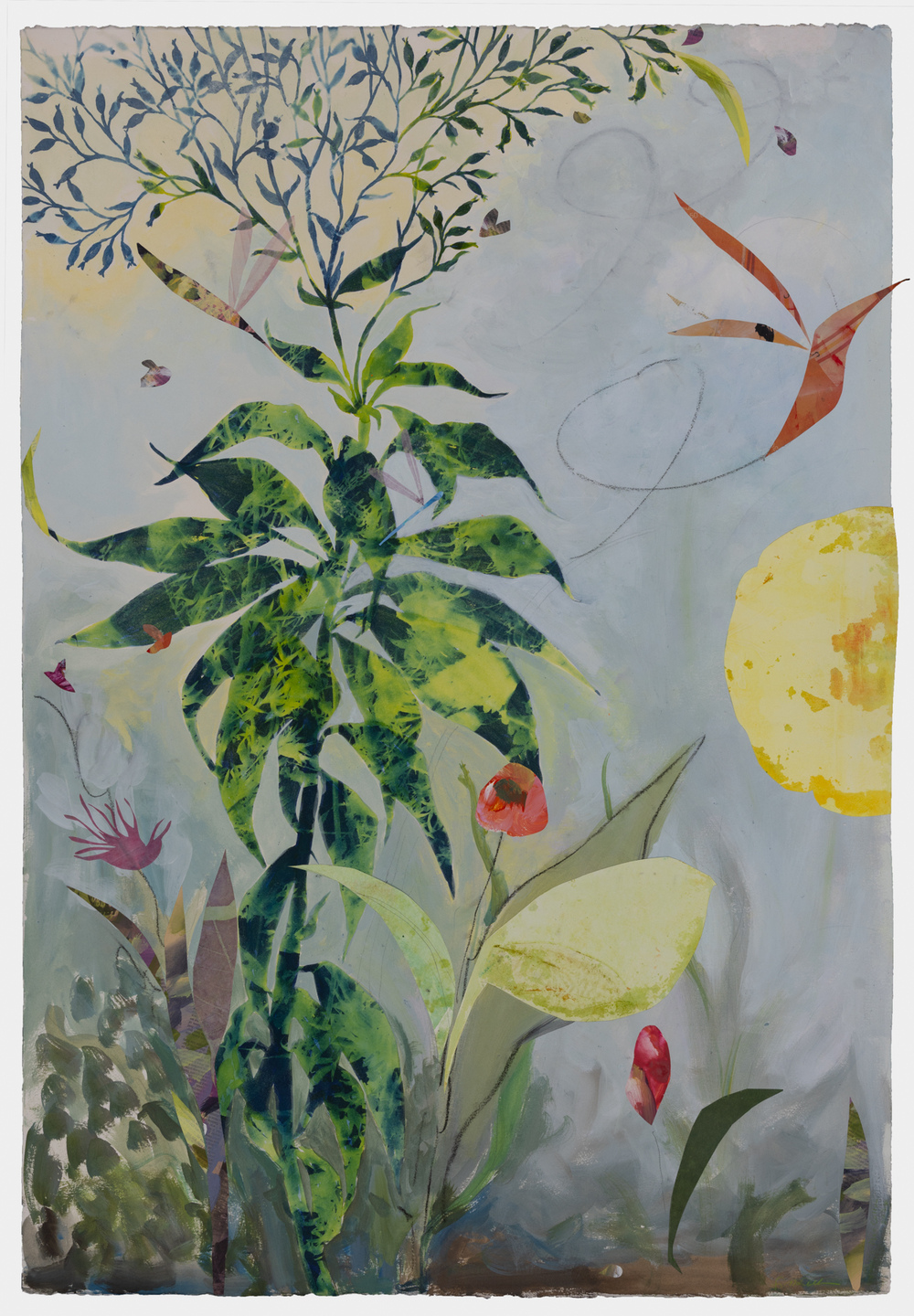 Cynthia MacCollum Ephemera 