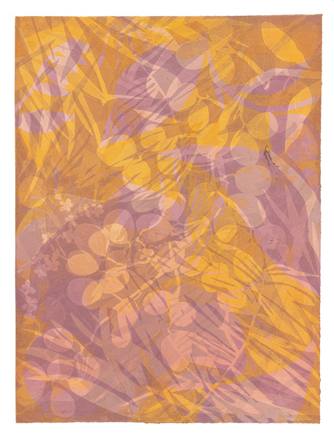 Cynthia MacCollum Skopelos II 