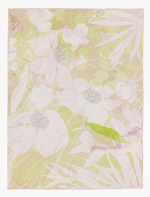 Cynthia MacCollum Skopelos II 