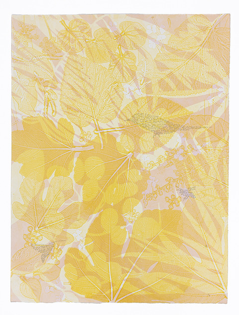 Cynthia MacCollum Skopelos II 