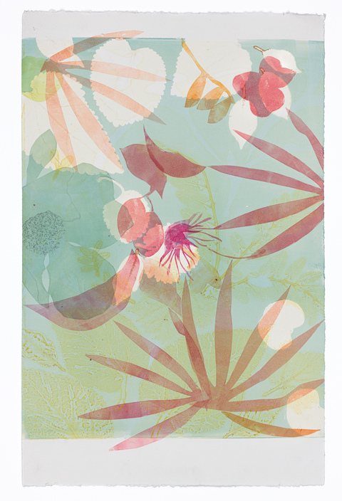 Cynthia MacCollum Skopelos II 