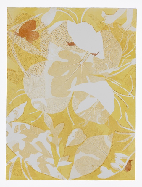 Cynthia MacCollum Skopelos II 