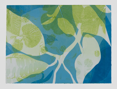 Cynthia MacCollum Skopelos II 