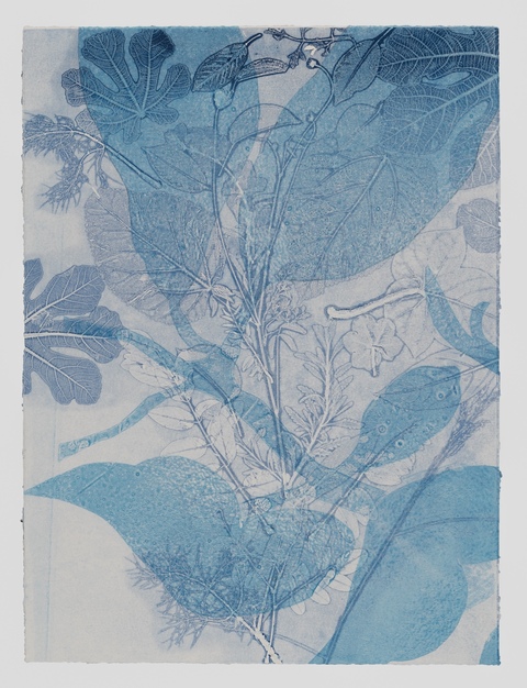 Cynthia MacCollum Skopelos II 