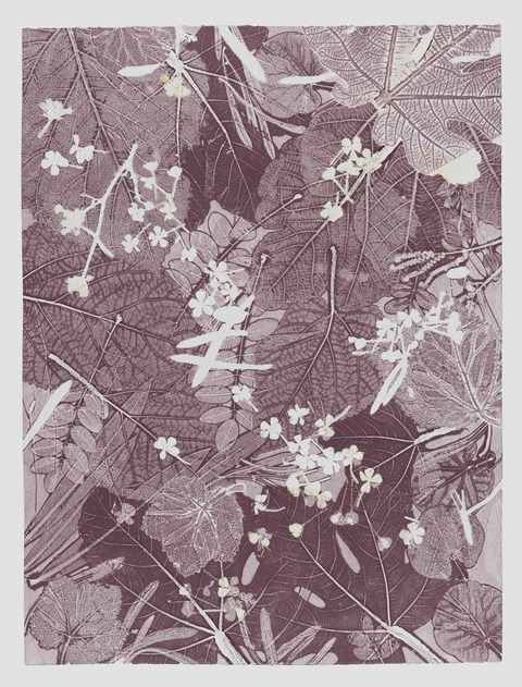 Cynthia MacCollum Skopelos II 