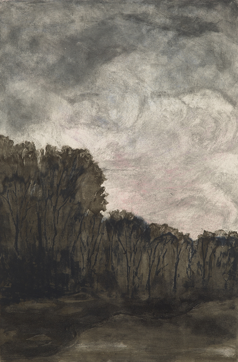 Cynthia MacCollum Landscapes 