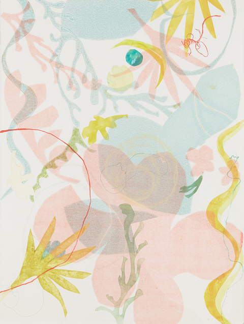 Cynthia MacCollum After Matisse Monoprint