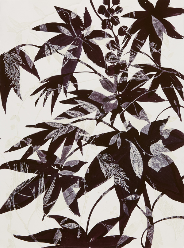 Cynthia MacCollum Botanica Rinsed Print Monotype