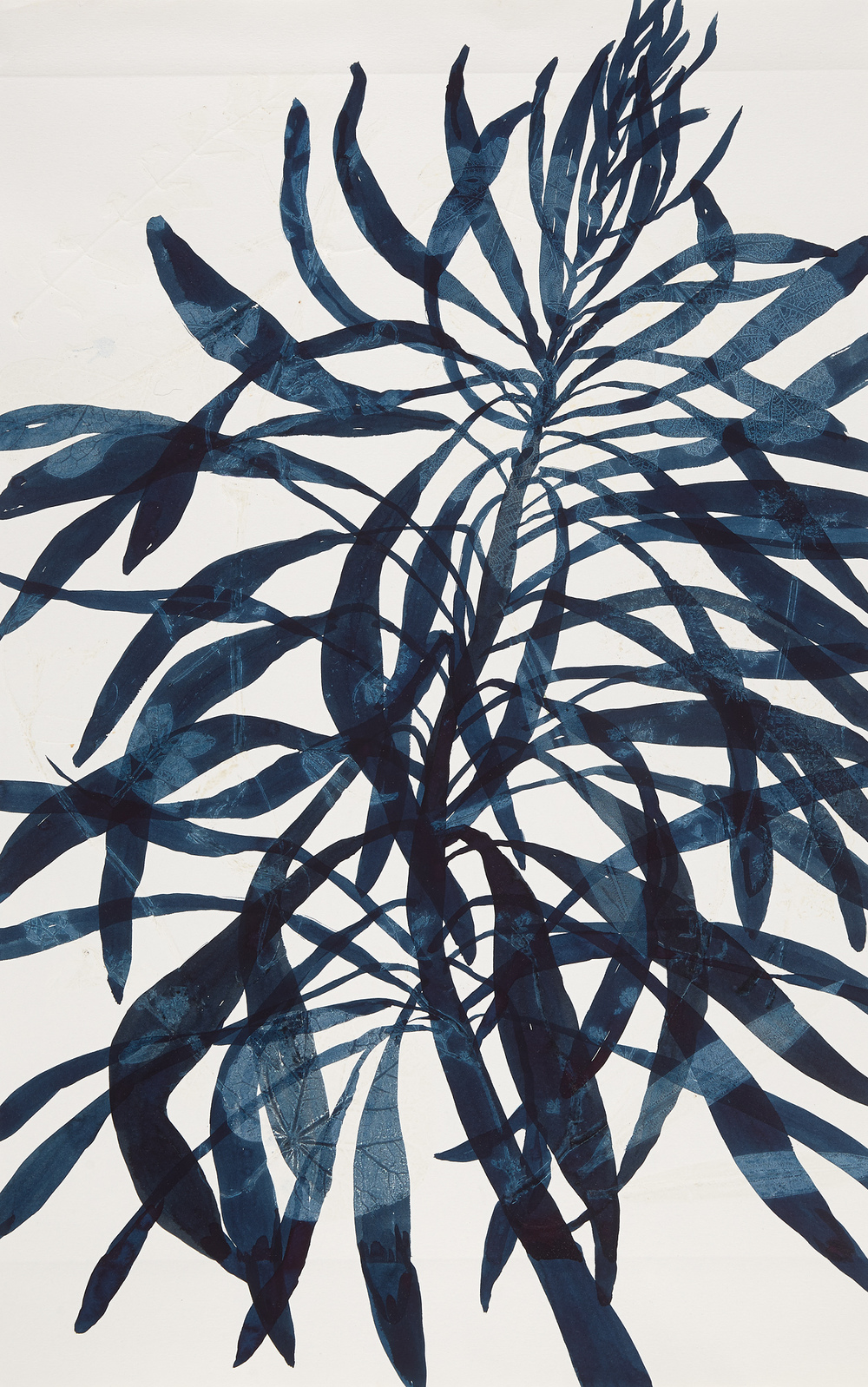 Cynthia MacCollum Botanica Rinsed Print Monotype