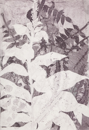 Cynthia MacCollum Botanica Monotype