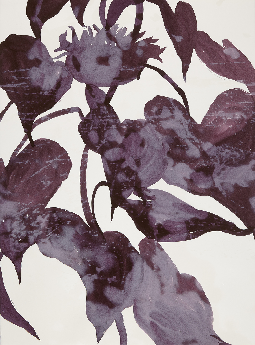 Cynthia MacCollum Botanica Lithography with Painting